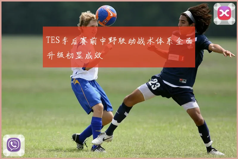 TES季后赛前中野联动战术体系全面升级初显成效